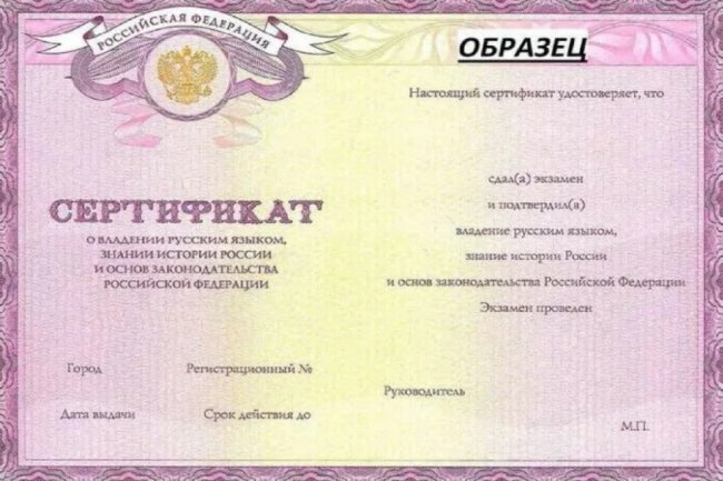 Сертификаты о знании русского языка для трудовых мигрантов планируют выдавать в Узбекистане