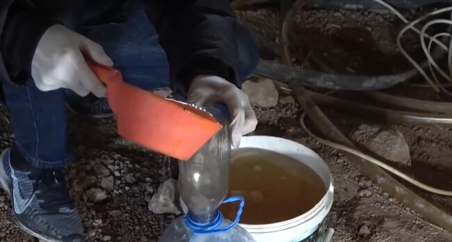 Международная преступная группировка выявлена на территориях Узбекистана и Казахстана