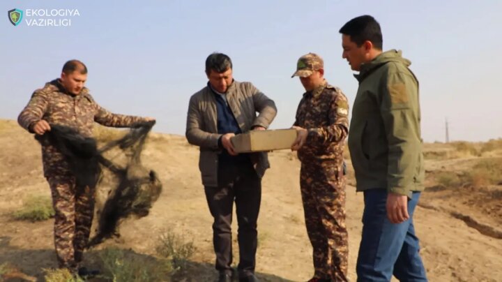 В горах Паркента поймали браконьера