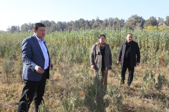 В Термезском районе проверили озеленение массива Новый Узбекистан