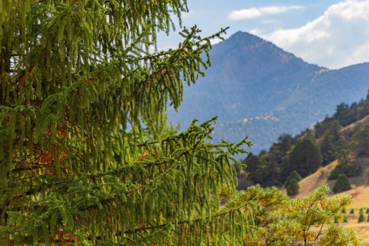 Обновлён перечень природного наследия Узбекистана